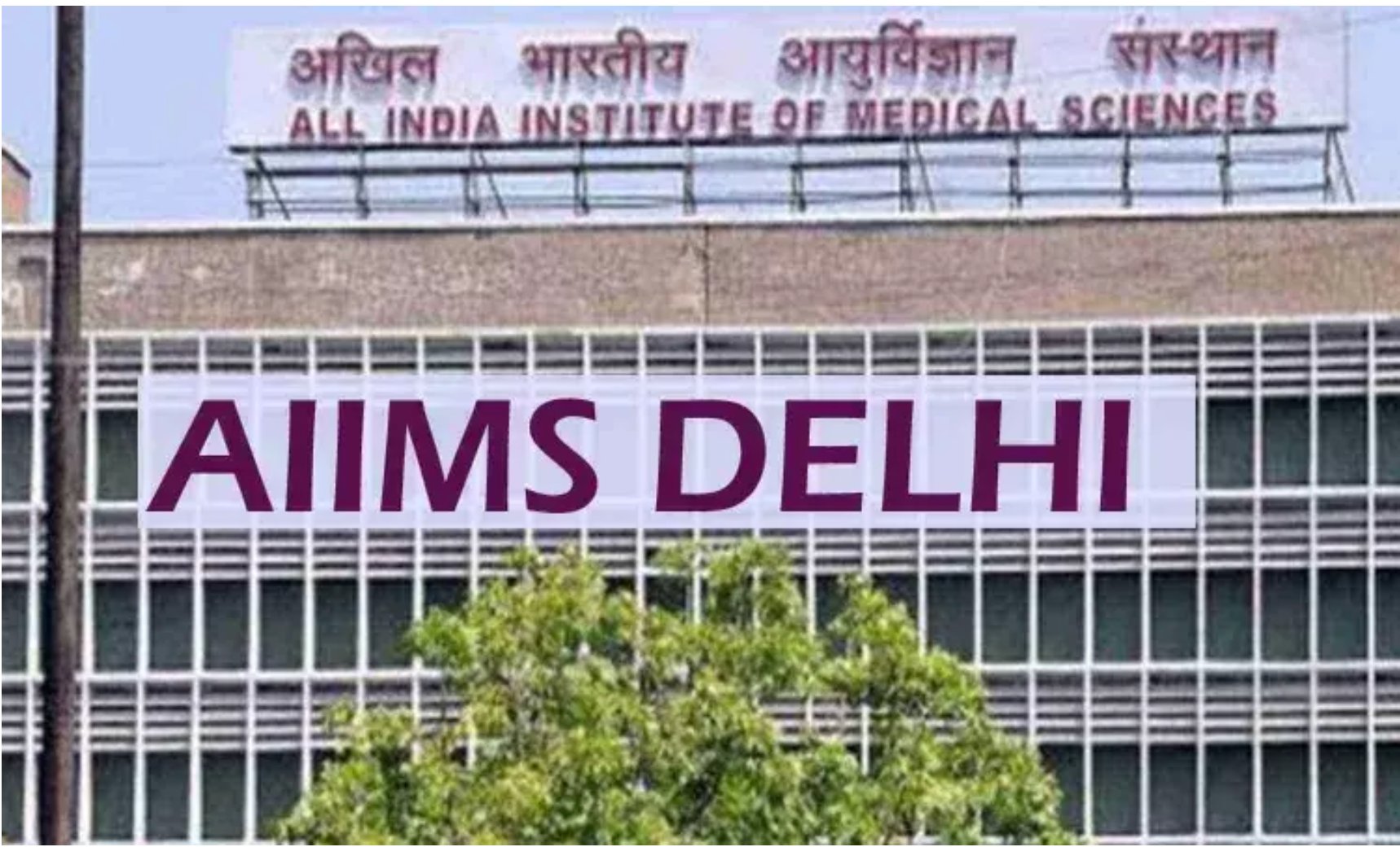 AIIMS New Delhi